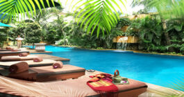 VIP Lifetime Membership